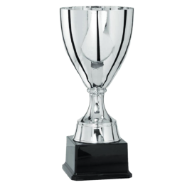 Coupe Ligne Prestige