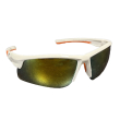 Lunettes de soleil Rawlings adulte