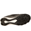 Rawlings Peak Low