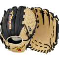 Mizuno franchise BB12'