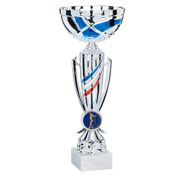 Coupe Ligne Economique bleu/blanc/rouge