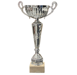 Coupe Ligne Economique argent