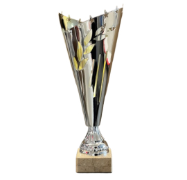 Coupe Ligne Economique argent