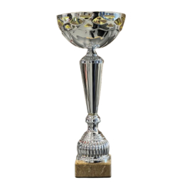 Coupe Ligne Economique argent