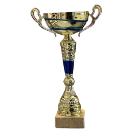 Coupe Ligne Economique or/bleu